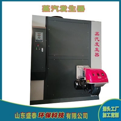 高效节能 水洗厂专用蒸汽发生器设备全解析